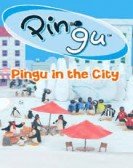 poster_pingu-in-the-city_tt7498270.jpg Free Download