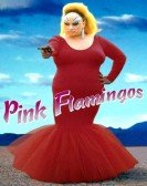 poster_pink-flamingos_tt0069089.jpg Free Download