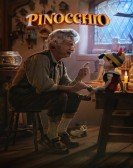 poster_pinocchio_tt4593060.jpg Free Download