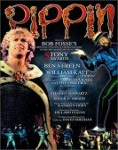 Pippin His Life and Times poster