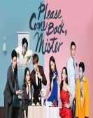 Please Come Back, Mister poster