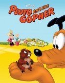poster_pluto-and-the-gopher_tt0041751.jpg Free Download