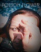 Poison Flower Free Download