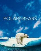 poster_polar-bears_tt15274910.jpg Free Download