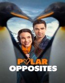 Polar Opposites Free Download