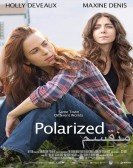 Polarized poster