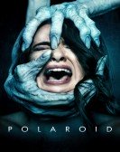 Polaroid (2019) Free Download