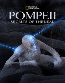 Pompeii: Secrets of the Dead Free Download