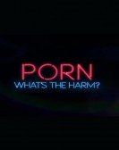 poster_porn-whats-the-harm_tt3663848.jpg Free Download