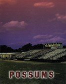 Possums Free Download