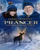 poster_prancer-a-christmas-tale_tt14668196.jpg Free Download