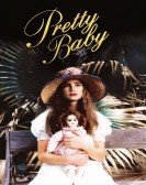 poster_pretty-baby_tt0078111.jpg Free Download