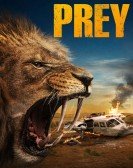 poster_prey_tt27682129.jpg Free Download