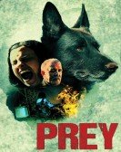 poster_prey_tt6117824.jpg Free Download