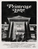 Primrose Lane poster