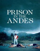 Prison in the Andes Free Download