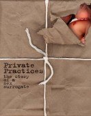 poster_private-practices-the-story-of-a-sex-surrogate_tt0158863.jpg Free Download