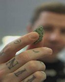 Professor Green: Is It Time to Legalise Weed? Free Download