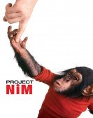 Project Nim Free Download