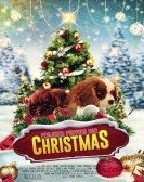 poster_project-puppies-for-christmas_tt5314484.jpg Free Download