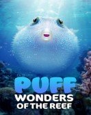 poster_puff-wonders-of-the-reef_tt15753666.jpg Free Download