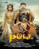 Puli poster