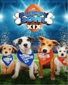 poster_puppy-bowl-xix_tt26457590.jpg Free Download