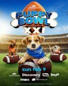 poster_puppy-bowl-xxi_tt35590636.jpg Free Download