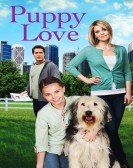 poster_puppy-love_tt2214864.jpg Free Download