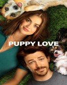 poster_puppy-love_tt28182736.jpg Free Download