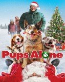 poster_pups-alone_tt6344584.jpg Free Download