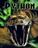 Python Free Download