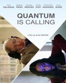 Quantum Is Calling Free Download