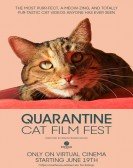 Quarantine Cat Film Festival Free Download