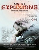 Quiet Explosions: Healing the Brain Free Download