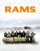 Rams poster