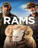 Rams Free Download