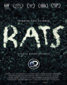 poster_rats_tt4033926.jpg Free Download