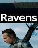 poster_ravens_tt5752524.jpg Free Download