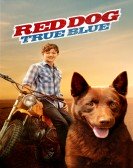 Red Dog: True Blue (2016) poster