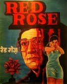 Red Rose Free Download