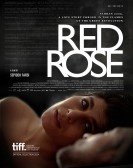 poster_red-rose_tt3310280.jpg Free Download