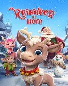 Reindeer in Here Free Download