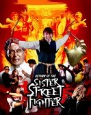 poster_return-of-the-sister-street-fighter_tt0196100.jpg Free Download