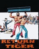 Return of the Tiger Free Download