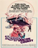 poster_return-to-macon-county_tt0073624.jpg Free Download