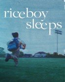 Riceboy Sleeps poster