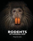 poster_rodents-of-unusual-size_tt2877296.jpg Free Download