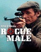 Rogue Male Free Download