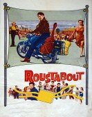 poster_roustabout_tt0058534.jpg Free Download